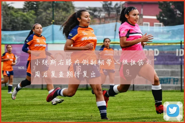 小琼斯右膝内侧副韧带二级扭伤六周后复查期待复出